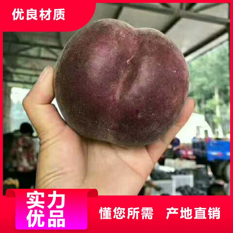 桃樹廠家，定制