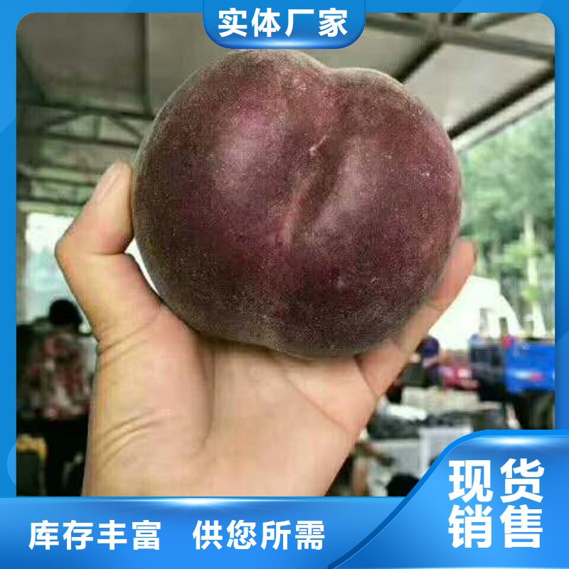 桃樹(shù)生產(chǎn)制造廠家設(shè)計(jì)制造銷(xiāo)售服務(wù)一體