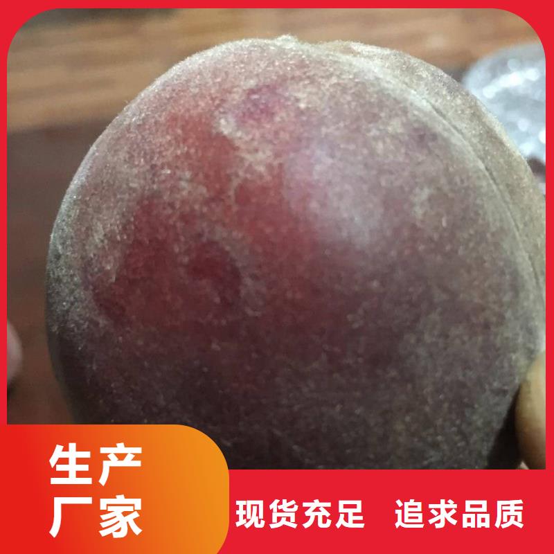 桃樹(shù)廠家直供
