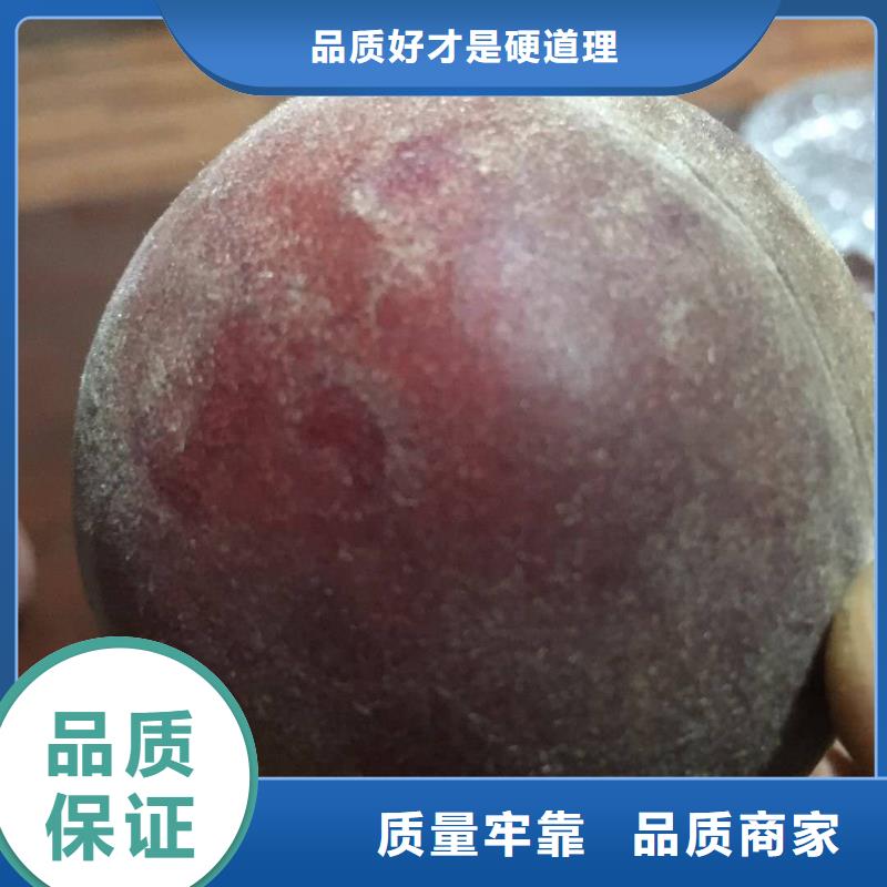 優(yōu)質的桃樹廠家