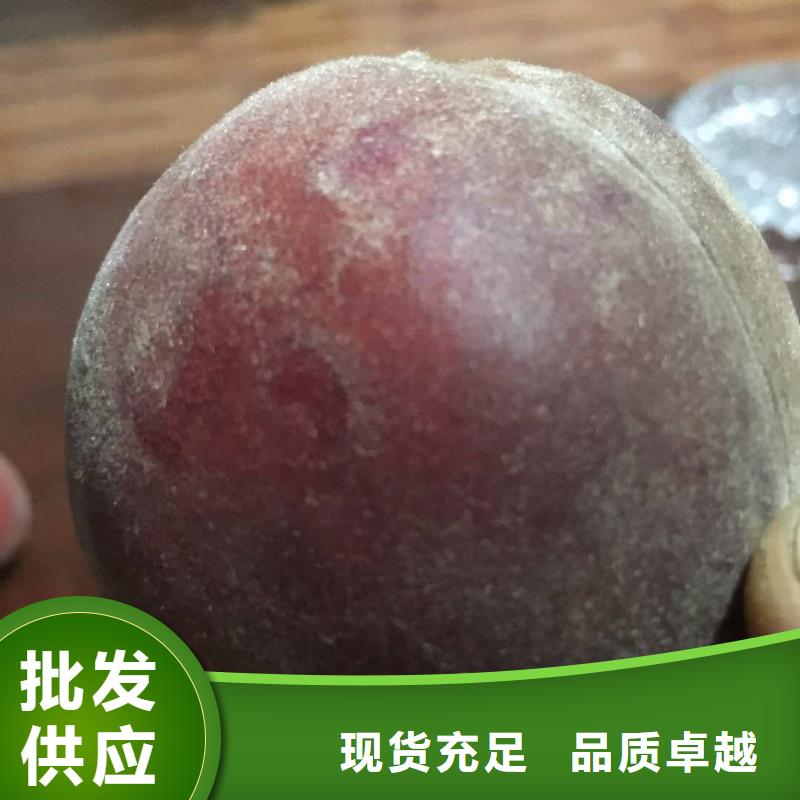優(yōu)選桃樹廠家細(xì)節(jié)決定品質(zhì)