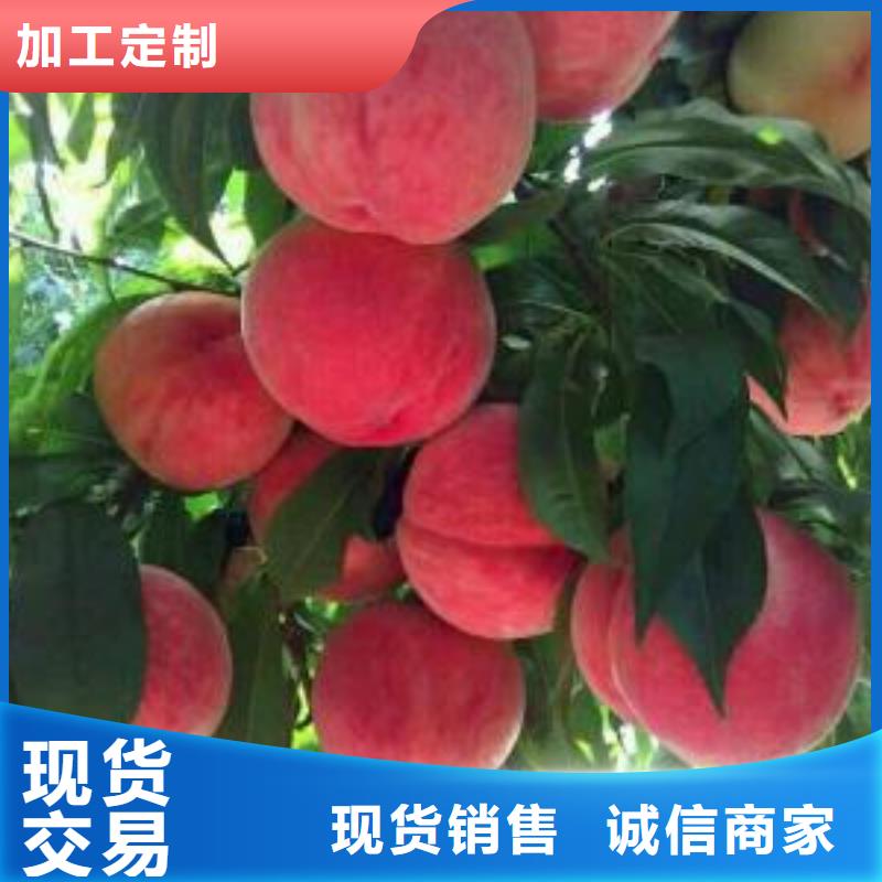 桃樹用途廣