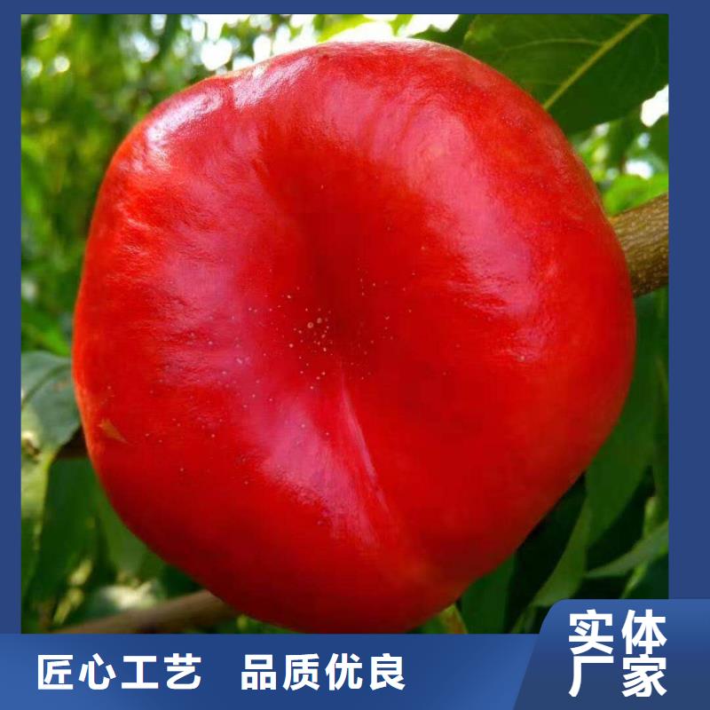 桃樹款式齊全產(chǎn)品優(yōu)勢(shì)特點(diǎn)