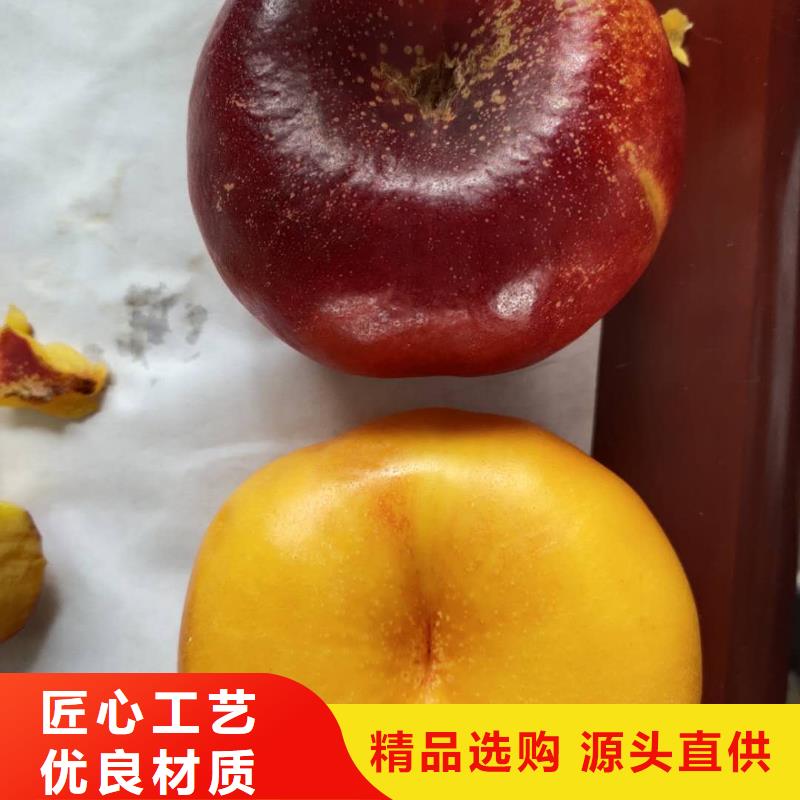 可定制的桃樹(shù)供應(yīng)商