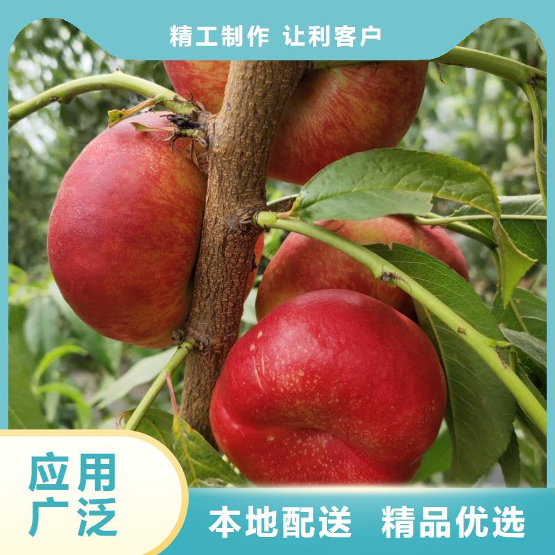 桃樹上門施工