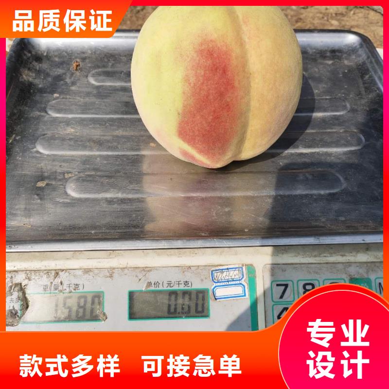 歡迎訪問-桃樹當(dāng)?shù)毓?yīng)商