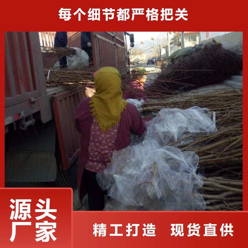 桃樹上門施工