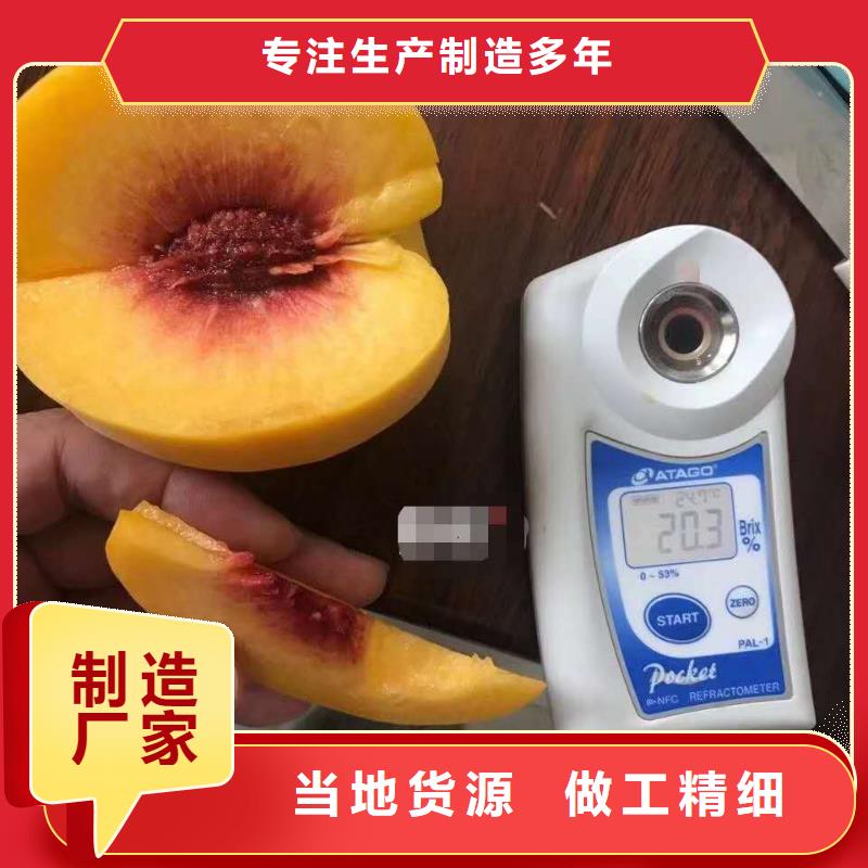 桃樹公司發(fā)貨快