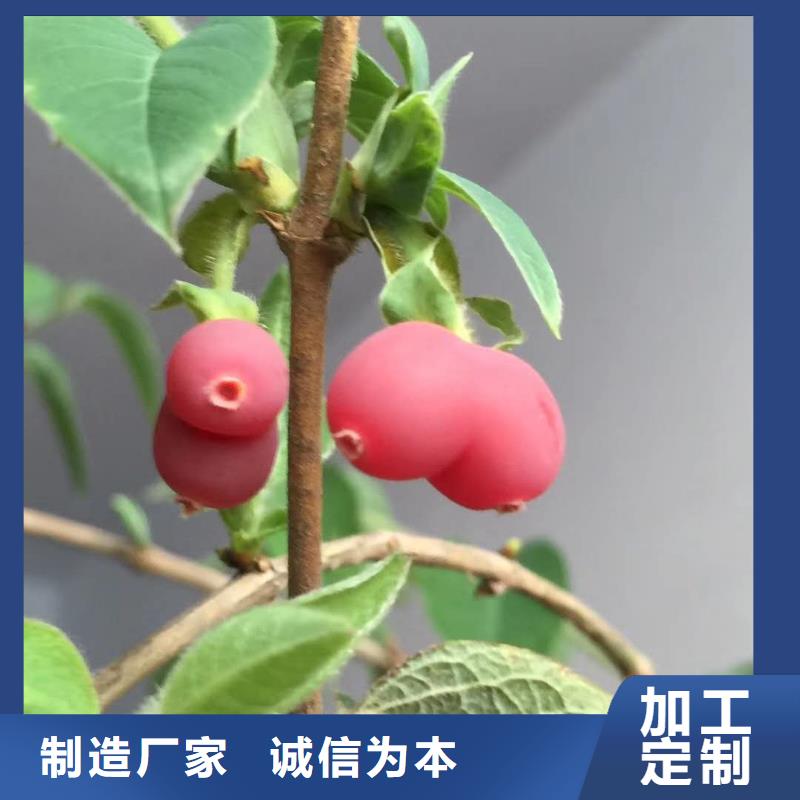 杈杷果質(zhì)檢合格本地制造商