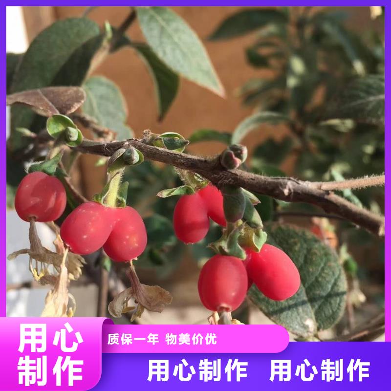 杈杷果品質(zhì)為本