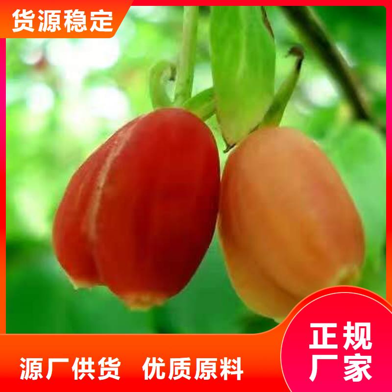 #杈杷果#-質(zhì)優(yōu)價(jià)廉