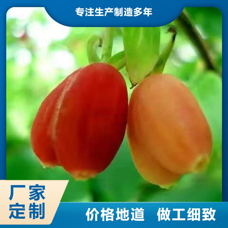 訂購(gòu)杈杷果