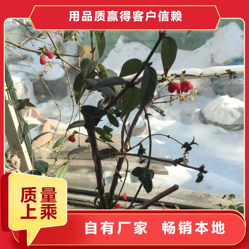 杈杷果品質(zhì)為本