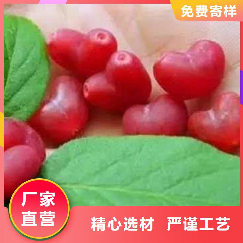 批發(fā)杈杷果的生產(chǎn)廠家