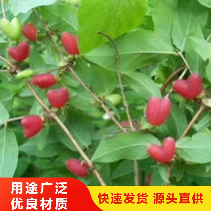 杈杷果