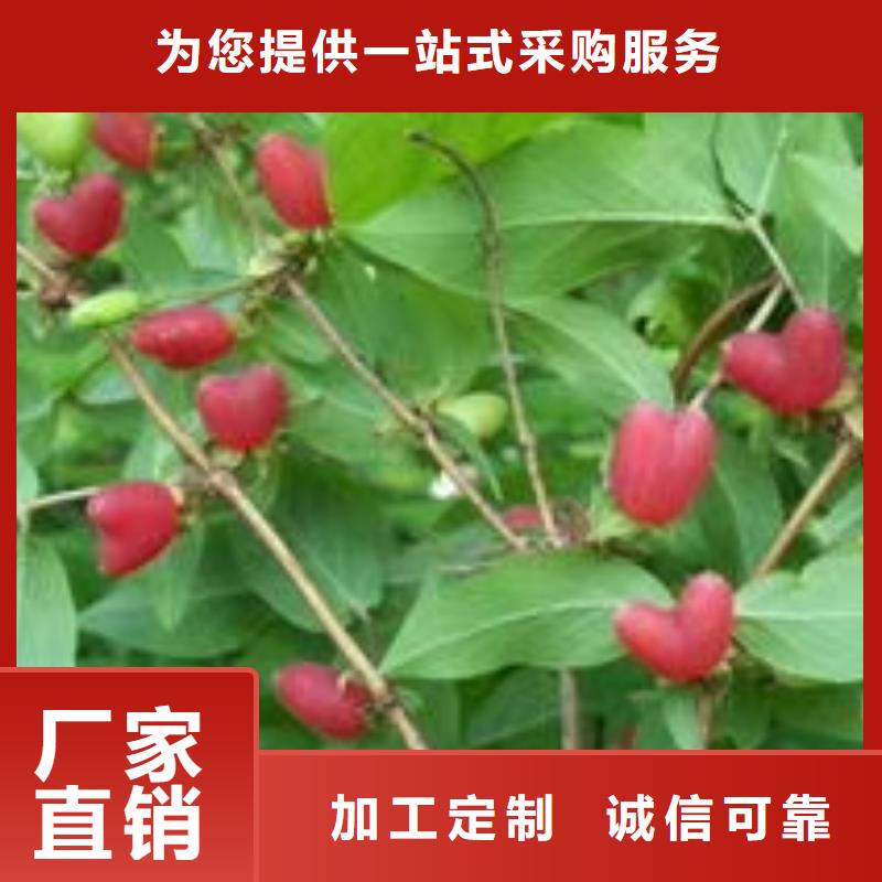 杈杷果