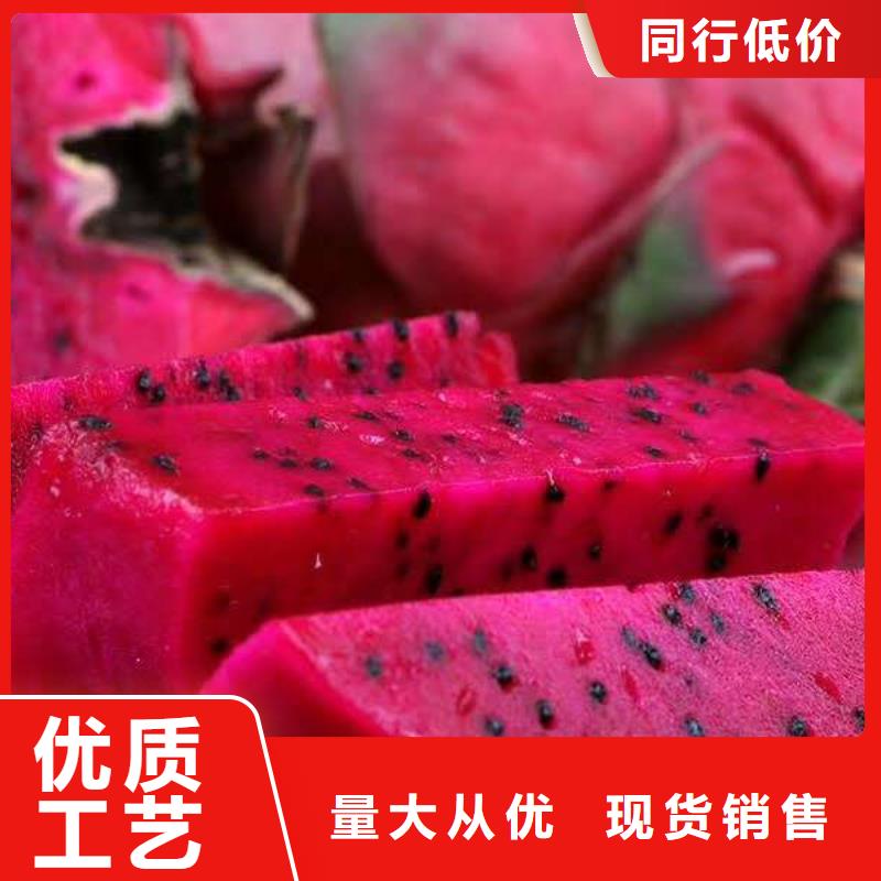 火龍果廠商真正的源頭廠家