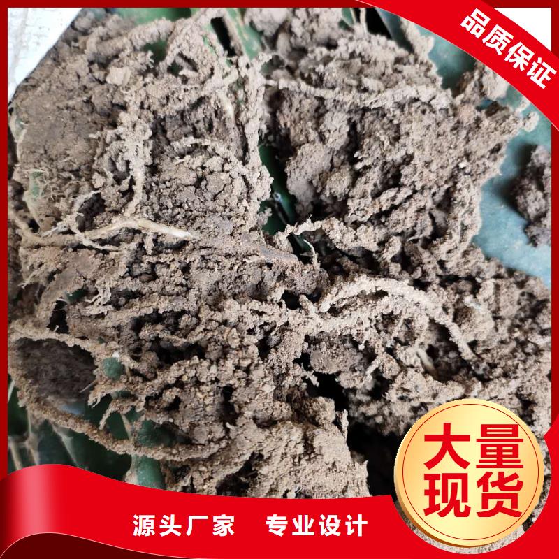 火龍果量大優(yōu)惠_現(xiàn)貨供應(yīng)