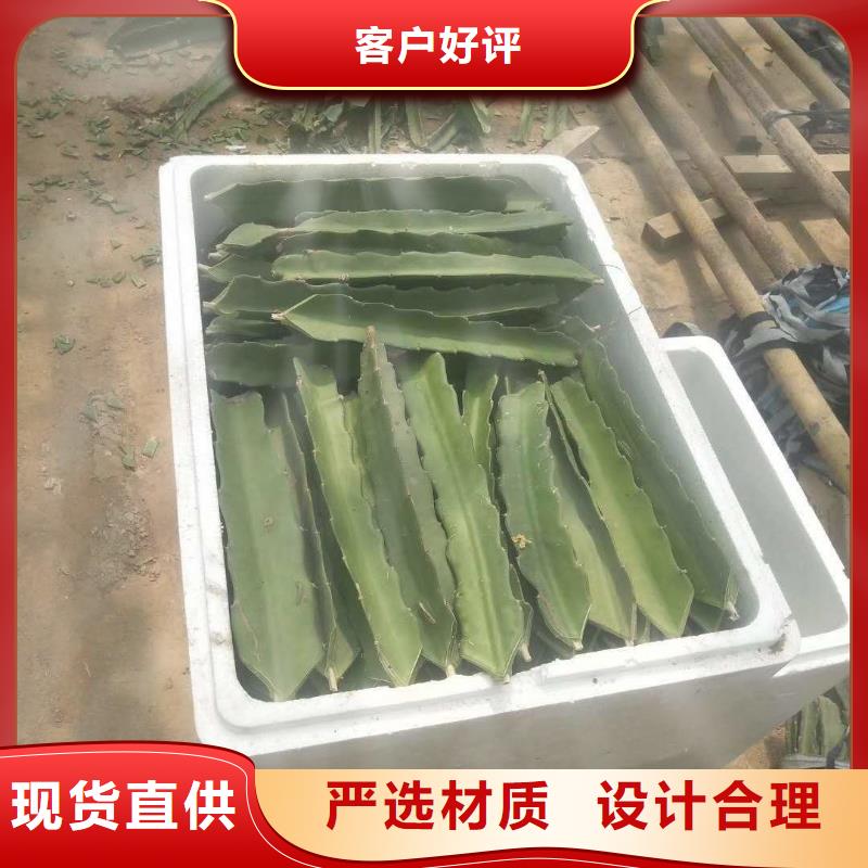 火龍果解決方案質(zhì)量看得見(jiàn)