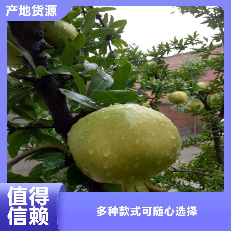 石榴距您較近