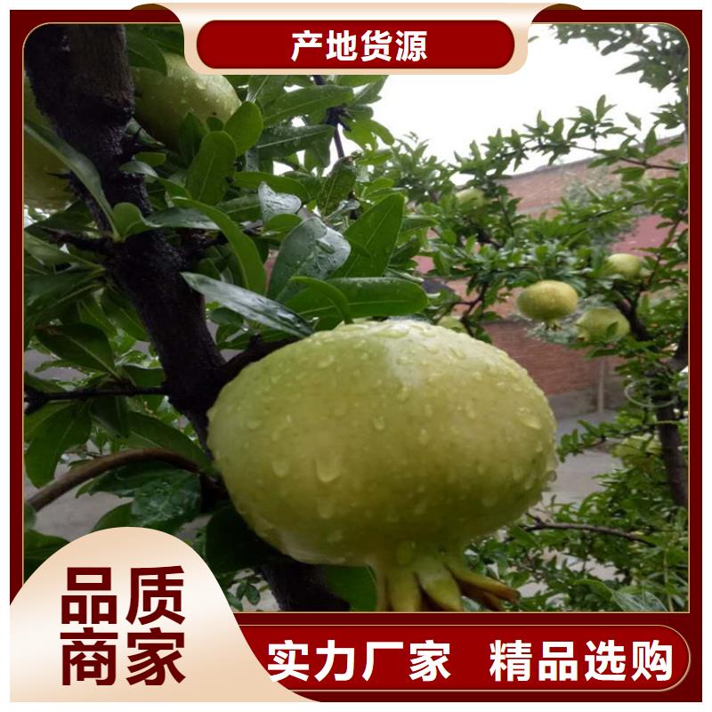 石榴距您較近