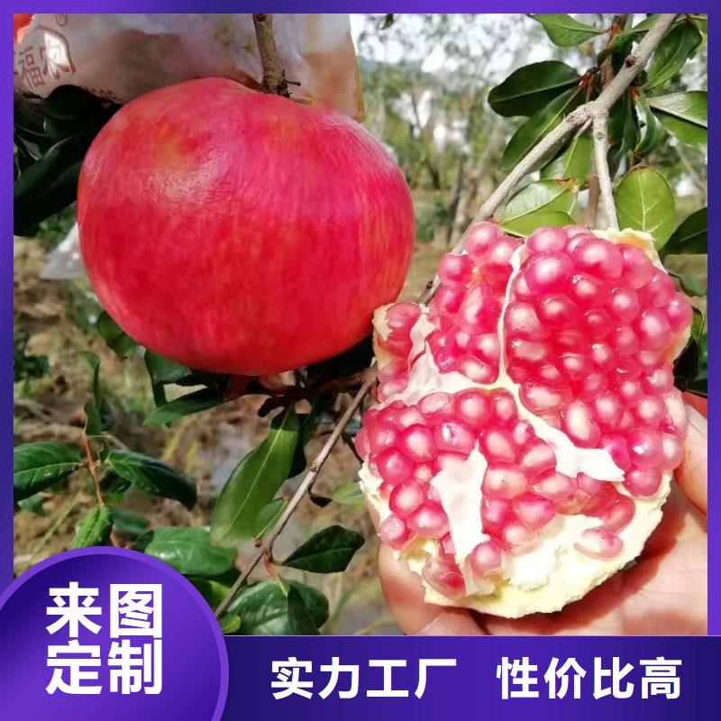 石榴價(jià)格便宜