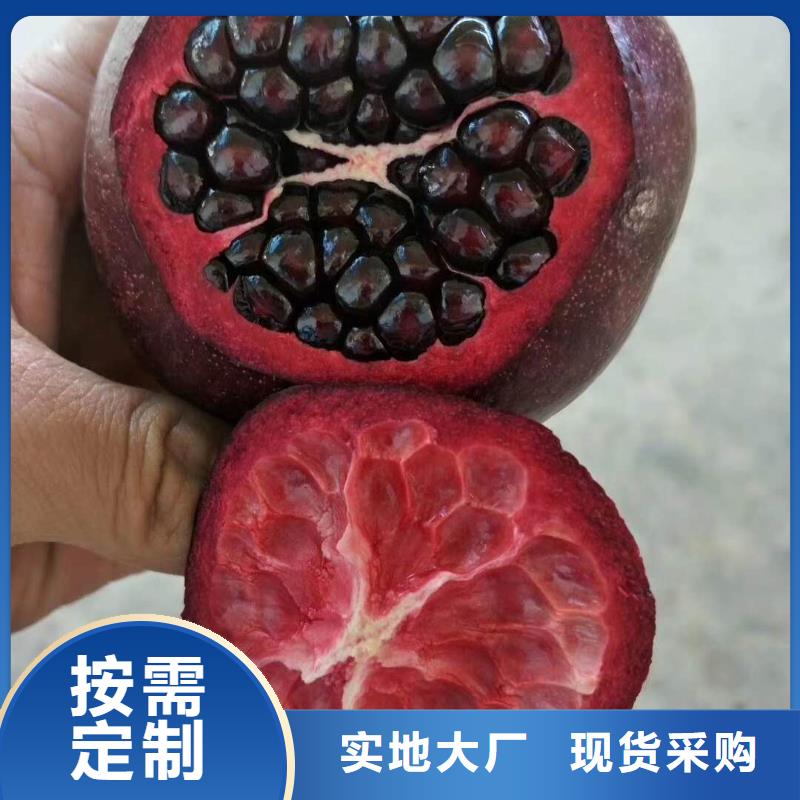 #石榴#貨源充足
