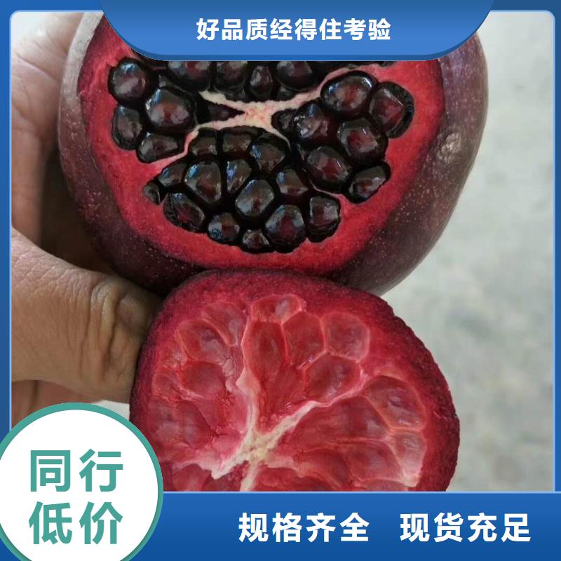 賣石榴的經(jīng)銷商