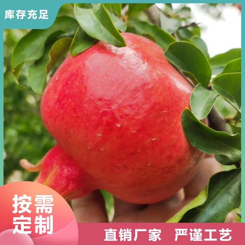 石榴自產自銷