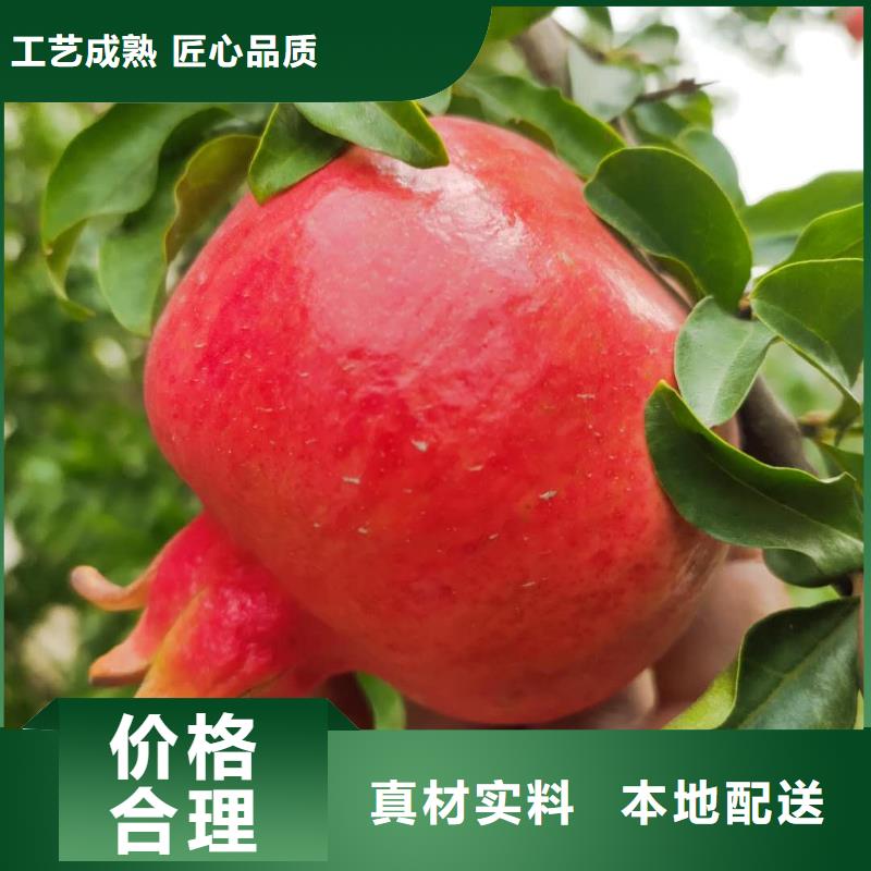 2025采購##石榴##品種齊全為品質(zhì)而生產(chǎn)