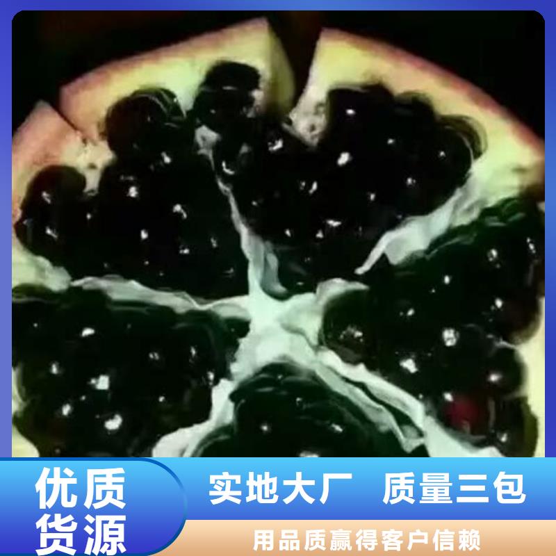 石榴-石榴省錢同城經(jīng)銷商