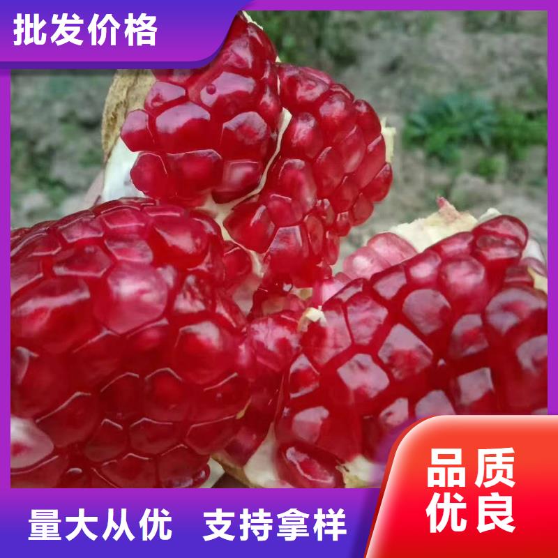 石榴_歡迎您