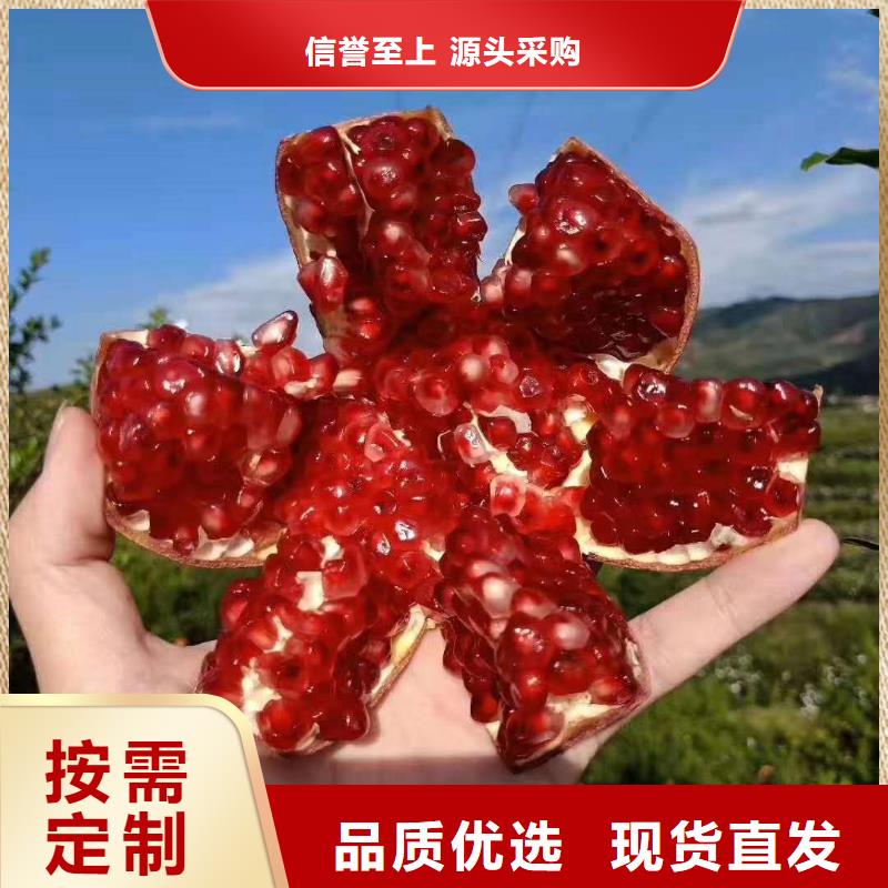 石榴鑄造金品供應(yīng)采購(gòu)