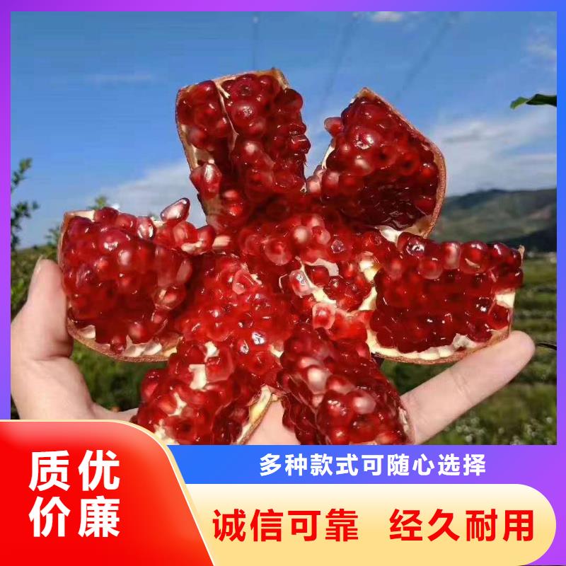 石榴制造廠