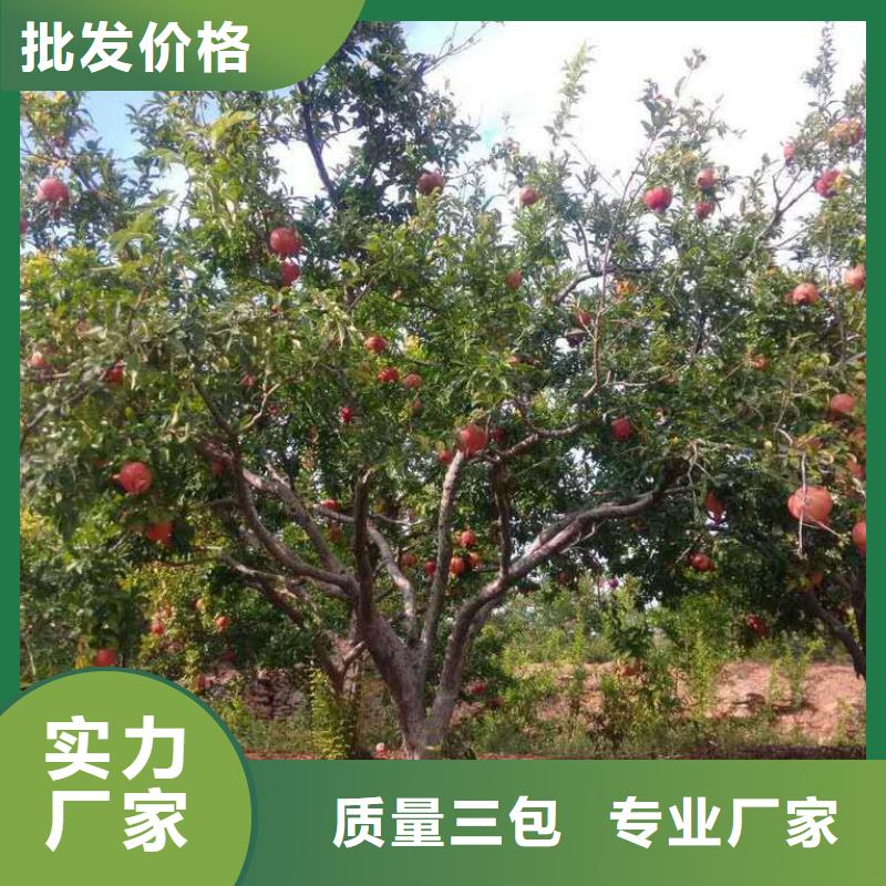 石榴隨時詢價本地服務商