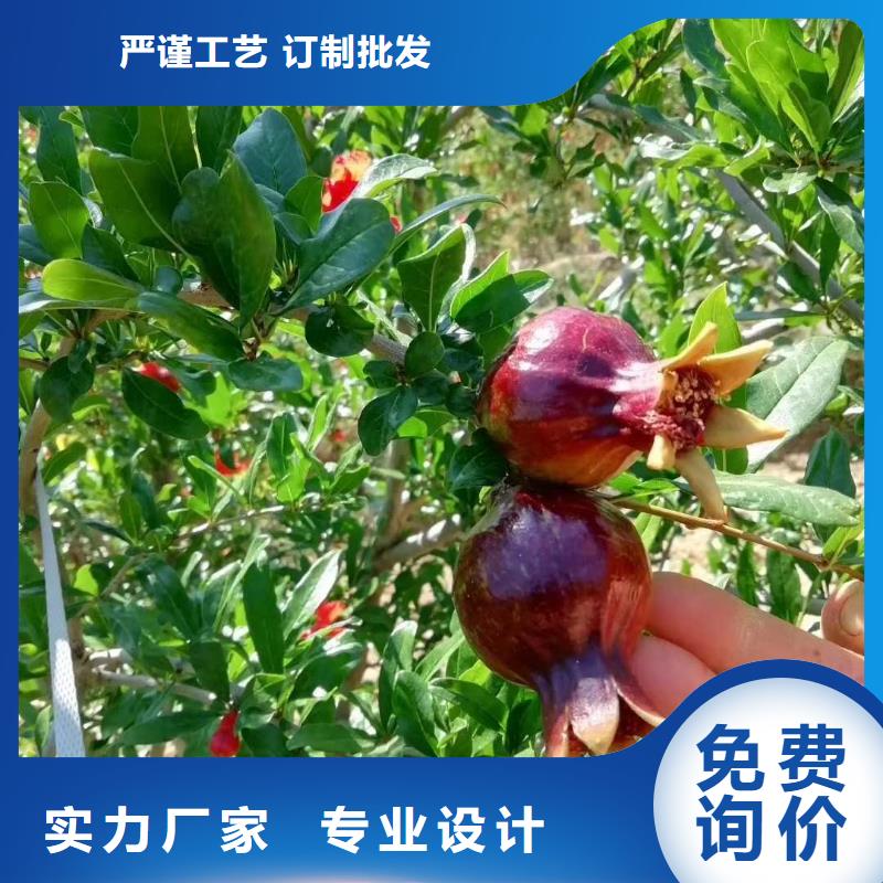 采購石榴必看-規(guī)格全