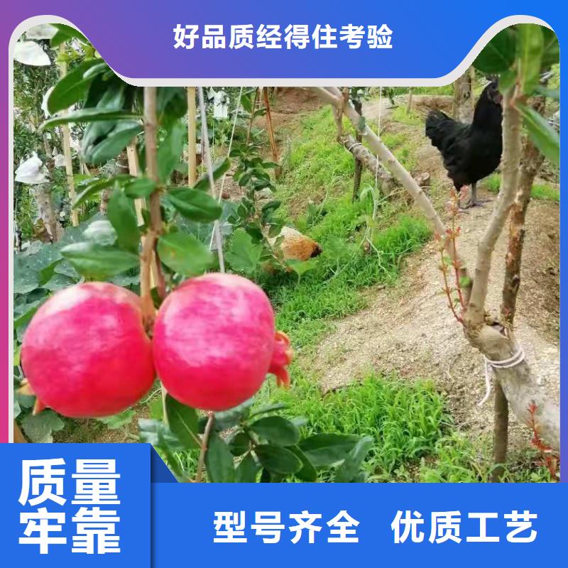 石榴加工