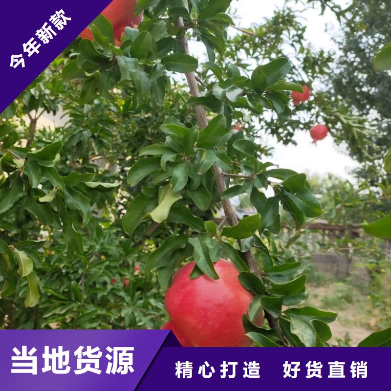 石榴-熱線開通中
