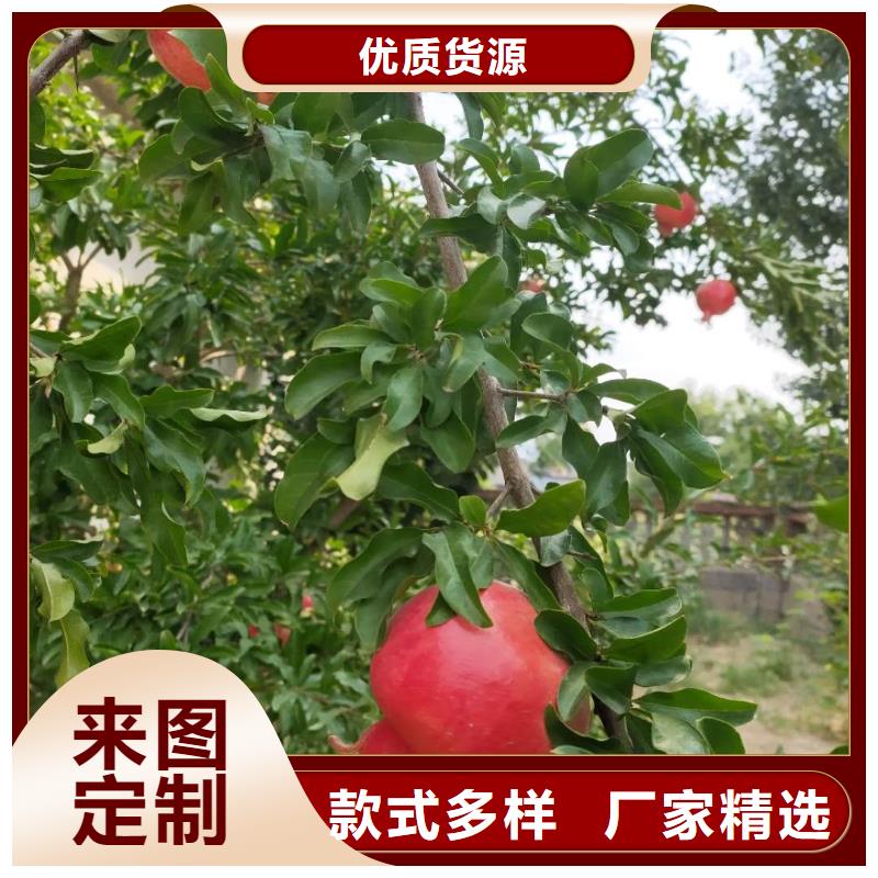 石榴-存貨充足