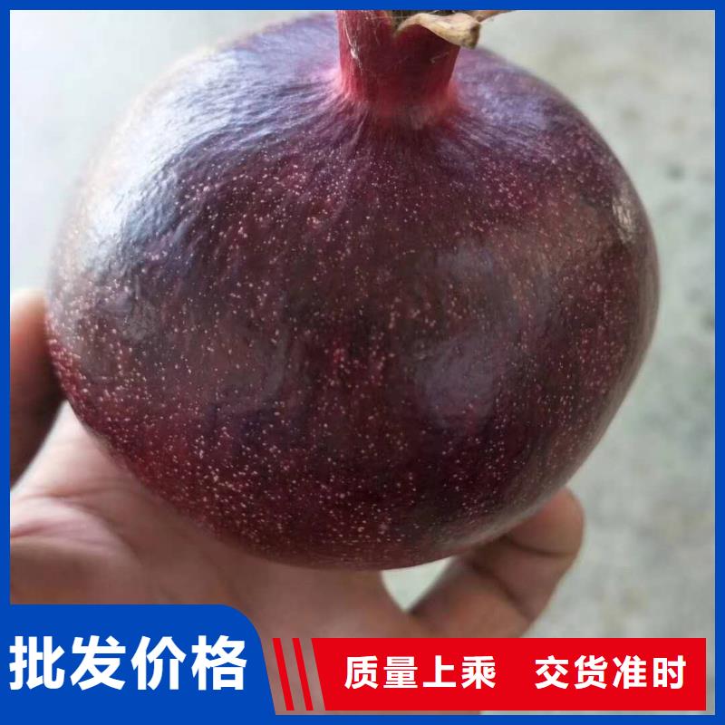 石榴-存貨充足