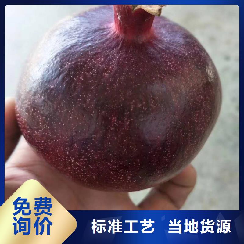 現(xiàn)貨供應(yīng)石榴_廠家/供應(yīng)