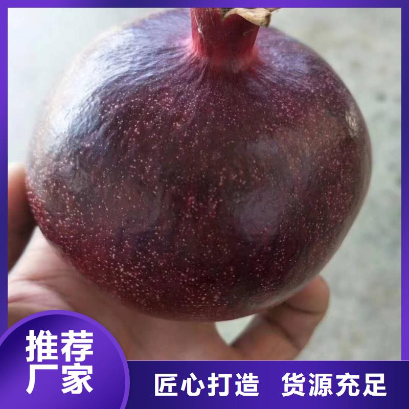 石榴距您較近