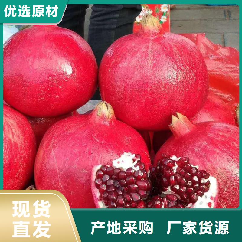 石榴的分類及規(guī)格當(dāng)?shù)厣a(chǎn)廠家