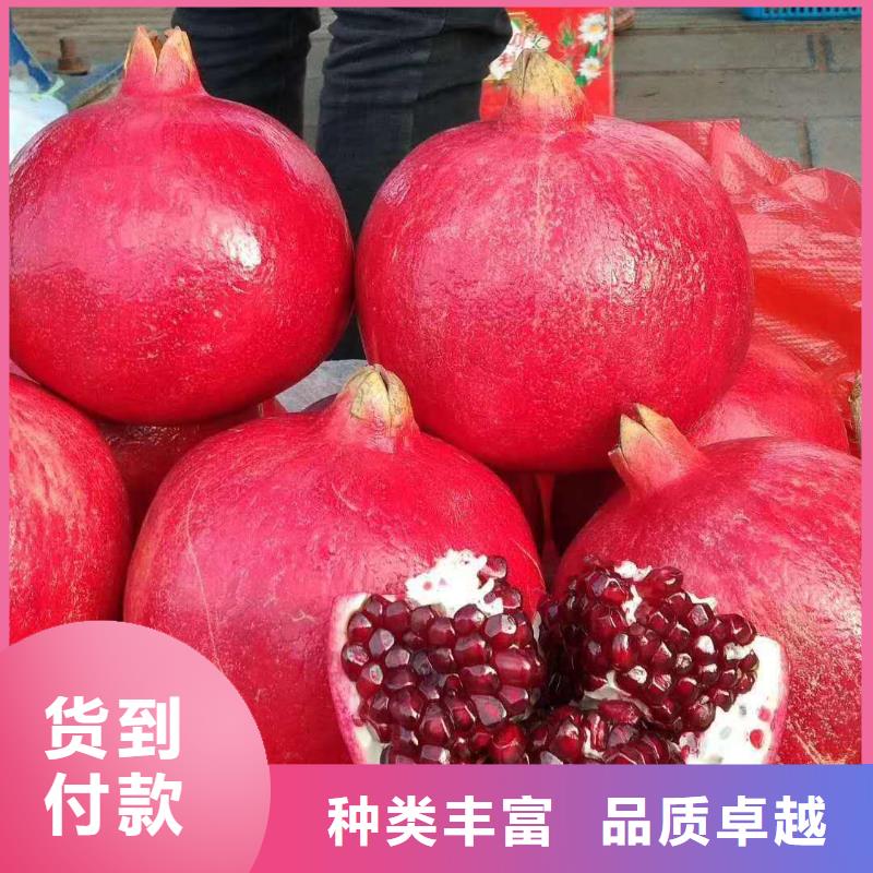 優(yōu)選：石榴公司