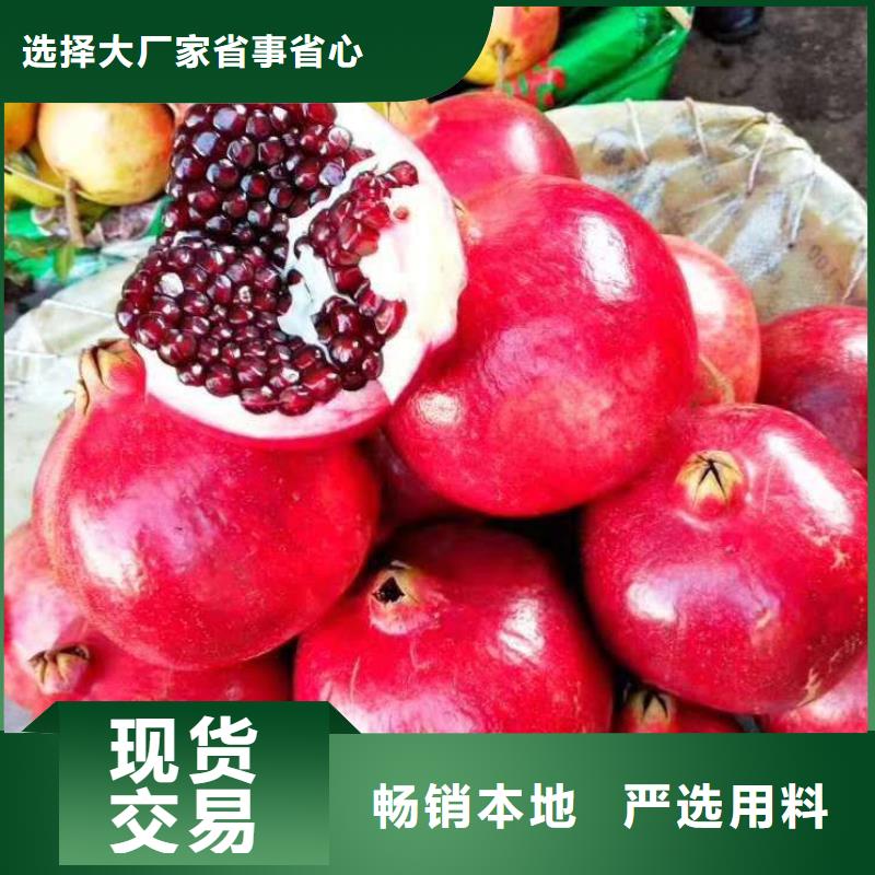 石榴-石榴售后保障