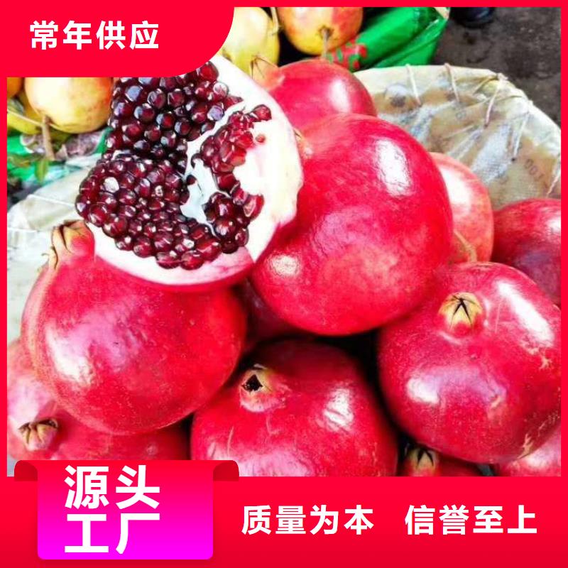 石榴_歡迎您本地公司