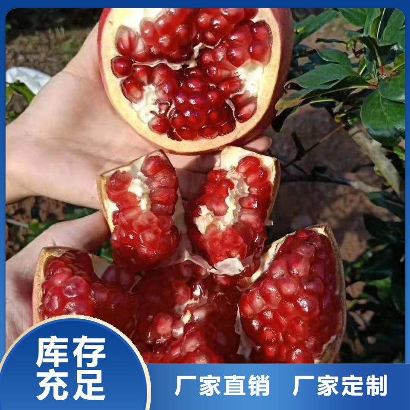 石榴-石榴售后保障