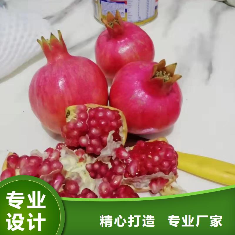石榴廠家熱銷今日價(jià)格