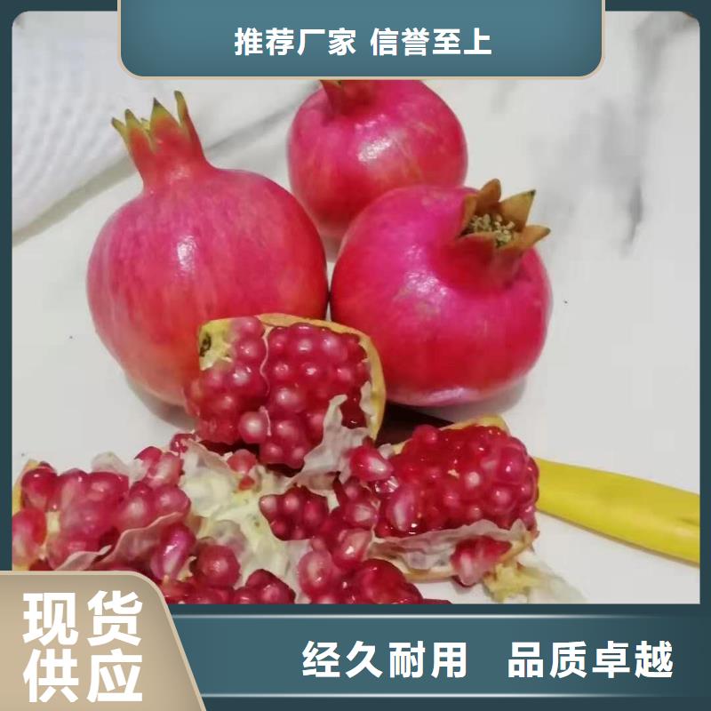 石榴距您較近