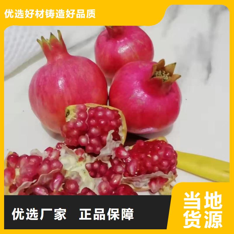 石榴-熱線開(kāi)通中